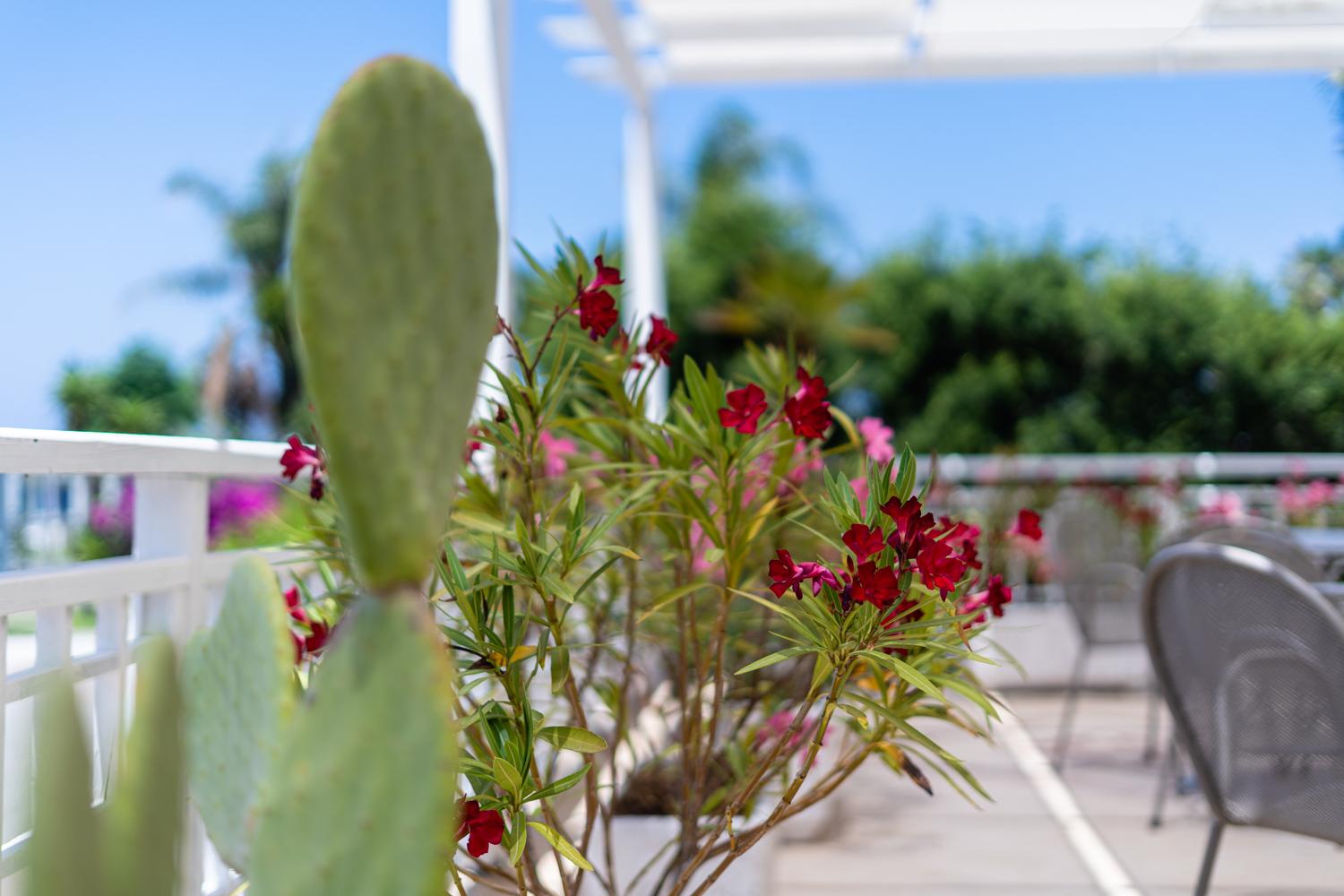 Le Dune Beach Club Μεσίνα Εξωτερικό φωτογραφία